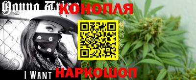 Альфа ПВП Нальчик