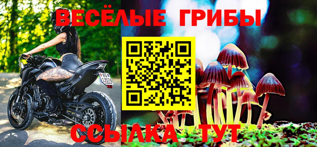 закладки  Галлюциногенные грибы GOLDEN TEACHER  Вход с VPN  Рузаевка 